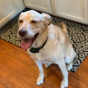 Meet your Posher, Reid